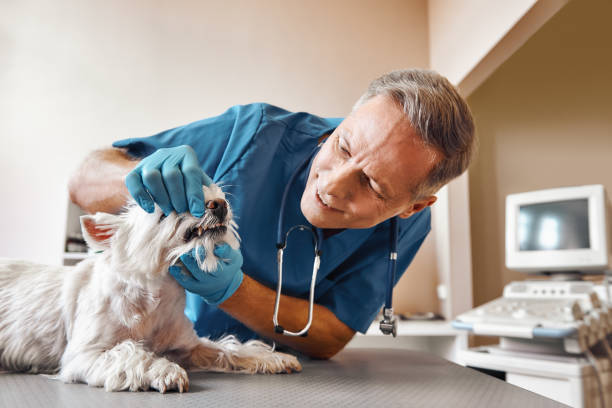 Best Pediatric Emergency Dentist in Kenner, LA
